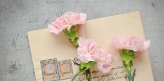 Co oznacza znaczek łosia na Volvo?