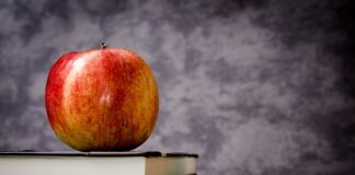 Czy DS to klasa premium?