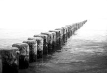 Co to znaczy DS Citroen? Co to znaczy DS Citroen?