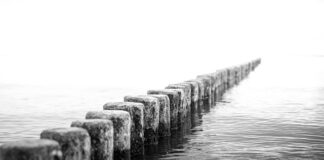 Co to znaczy DS Citroen?