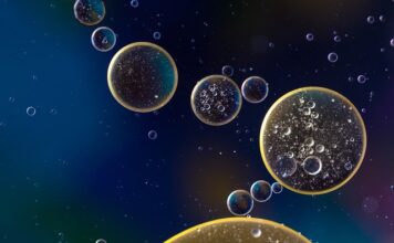 Co ile wymiana oleju Citroen C5? Co ile wymiana oleju Citroen C5?