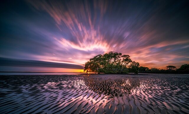 Czy Australia produkuje samochody? Czy Australia produkuje samochody?
