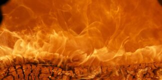 Z jakiego kraju pochodzi marka Peugeot?