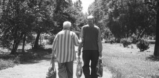 Jaką długość ma Citroen C5?