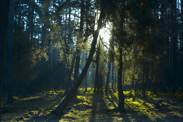 Jak podnieść prześwit? Jak podnieść prześwit?