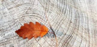 Które pierścienie centrujące są lepsze plastikowe czy aluminiowe?