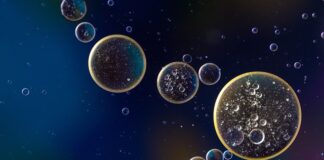 Ile kosztuje wymiana oleju w serwisie Toyoty?