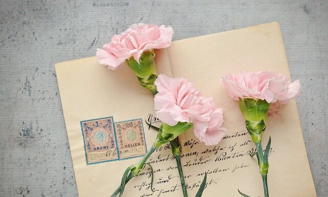 Jakie auto ma znaczek V? Jakie auto ma znaczek V?