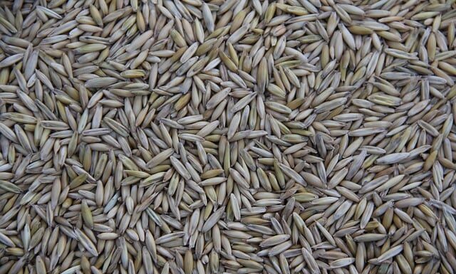 Gdzie jest produkowany Citroen C5 Aircross?