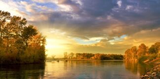 Ile wytrzymuje koło dwumasowe 2.0 HDi?