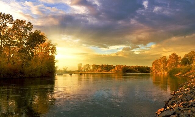 Ile wytrzymuje koło dwumasowe 2.0 HDi? Ile wytrzymuje koło dwumasowe 2.0 HDi?