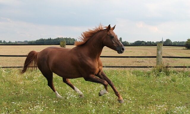 Jaki jest najszybszy Audi?