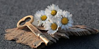 Jak otworzyć maskę w BMW e46?