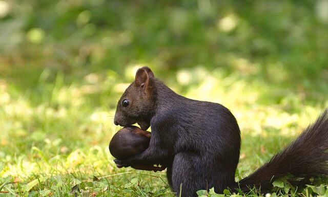O czym nie zapomnieć przy przeprowadzce? O czym nie zapomnieć przy przeprowadzce?
