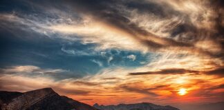 Do której godziny można pić yerba mate?