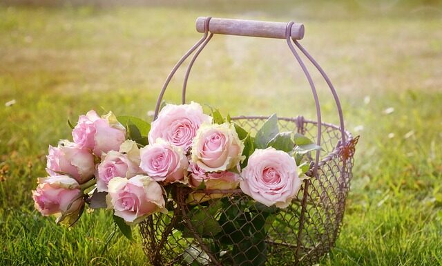 Jaki kosz na worki 35l?