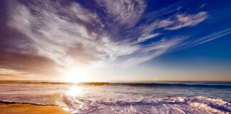 Jak zrobić piankę z galaretki i Skyru?