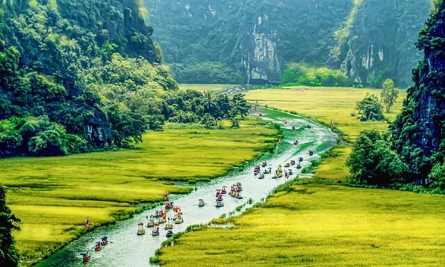 Co zamiast kołnierza u psa? Co zamiast kołnierza u psa?