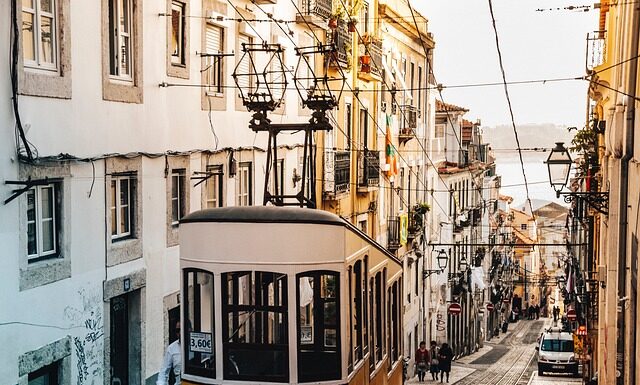 Jak dobrać wózek inwalidzki dla psa? Jak dobrać wózek inwalidzki dla psa?