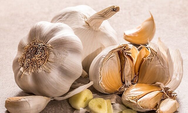 Czy do Żabki można wejść z psem? Czy do Żabki można wejść z psem?