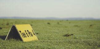 Jak zrobić koszulkę wybielaczem?