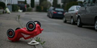 Jakich zabawek nie kupować psu?