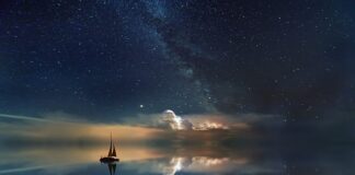 Dlaczego w kokosie jest woda?