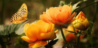 Ile kosztuje jedno mycie w zmywarce?