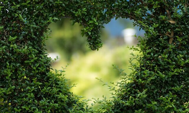 Co to jest zielona żywność?