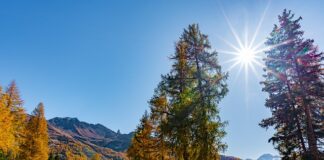 Jak zrobić masę z jogurtu naturalnego?