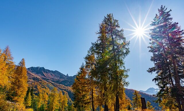 Jak zrobić masę z jogurtu naturalnego? Jak zrobić masę z jogurtu naturalnego?