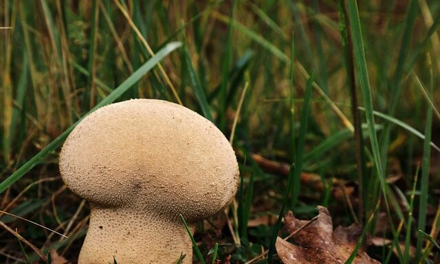 Co zamiast worków na śmieci?