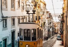 Gdzie kupić wózek dla psa?