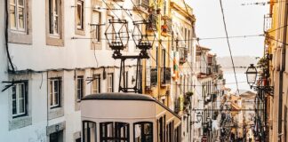 Gdzie kupić wózek dla psa?