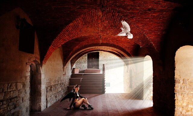 Kiedy kot jest zazdrosny?