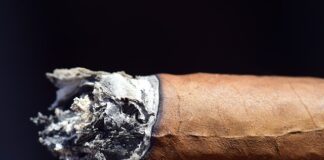 Która yerba jest rakotwórcza?