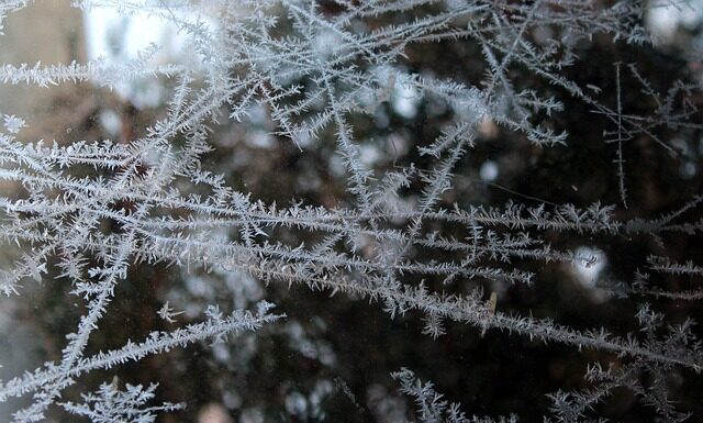 Czy można mrozić produkty pakowane próżniowo?