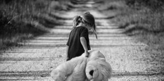 Jak zrobić zabawkę dla kota z kocimiętką?