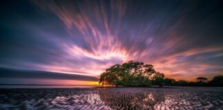 Jak przeczyścić odpływ zmywarki?