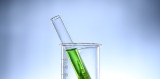 Czy Chlorella jest dobra na odchudzanie?