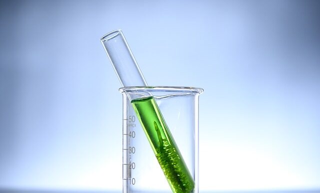 Czy Chlorella jest dobra na odchudzanie?