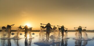 Jak zrobić sól do zmywarki?