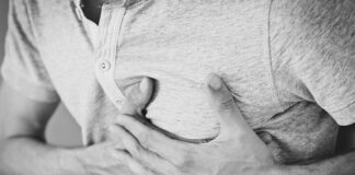 Co powinno być w klatce dla papug?