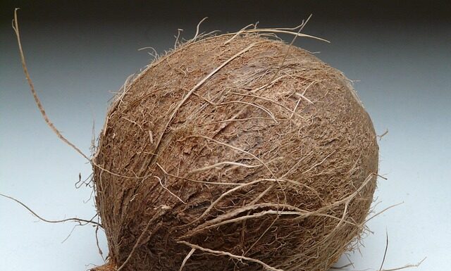 Co jest w środku kokosa?