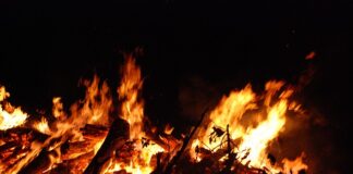 Czy yerba mate szkodzi na żołądek?