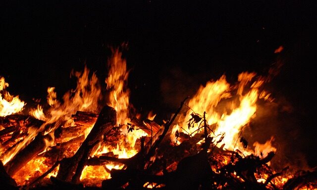 Czy yerba mate szkodzi na żołądek? Czy yerba mate szkodzi na żołądek?