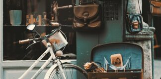 Czy do sklepu Leroy Merlin można wejść z psem?