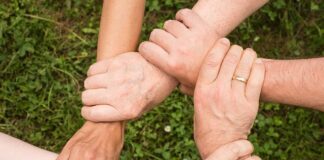 Jak kot okazuje zaufanie?