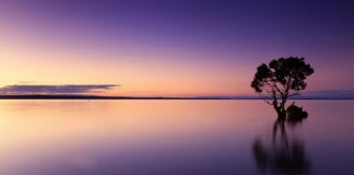 Ile można pić wody kokosowej dziennie?