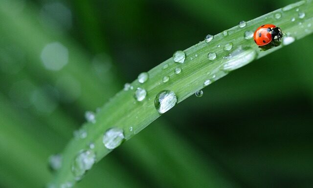 Jak wybielić pożółkłą pościel? Jak wybielić pożółkłą pościel?